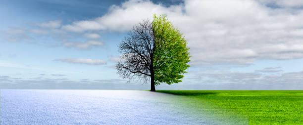 Taking a leaf from nature